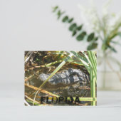 Fish Camp, Florida Briefkaart (Staand voorkant)