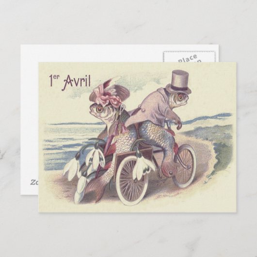 Fish Couple Bicycle Zee Ocean Lily Briefkaart (Voorkant / Achterkant)