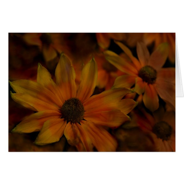 Fish Creek Blossom (Voorkant Horizontaal)