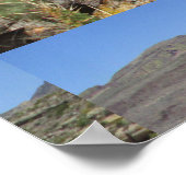 Fish Creek Hill Vista Prickly Cactus Poster (Hoek)