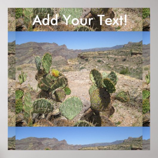 Fish Creek Hill Vista Prickly Cactus Poster (Voorkant)
