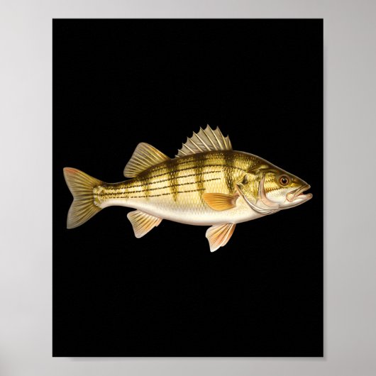 Fish Ed B Er Fishing Art For Anglers Poster (Voorkant)