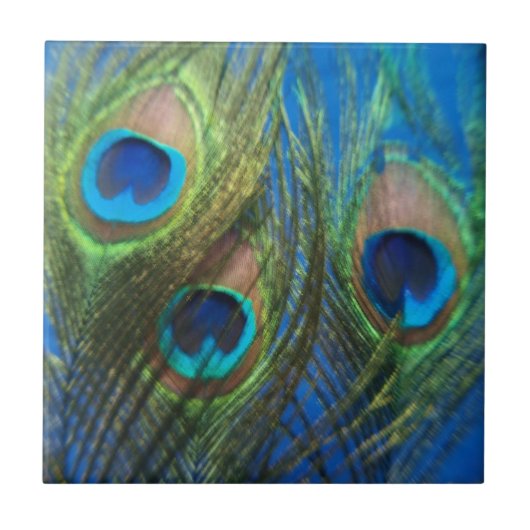 Fish Eye Peacock Feathers Tile Tegeltje (Voorkant)