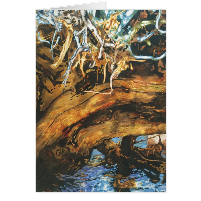 Fish Haven (Voorkant)