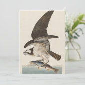 Fish hawk Osprey Natuur Kaart (Staand voorkant)