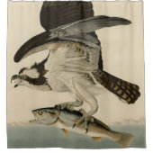 Fish Hawk, Osprey, uit Audubon's Birds of America Douchegordijn (Voorkant)