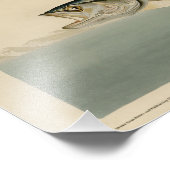 Fish Hawk, Osprey, uit Audubon's Birds of America Foto Afdruk (Hoek)