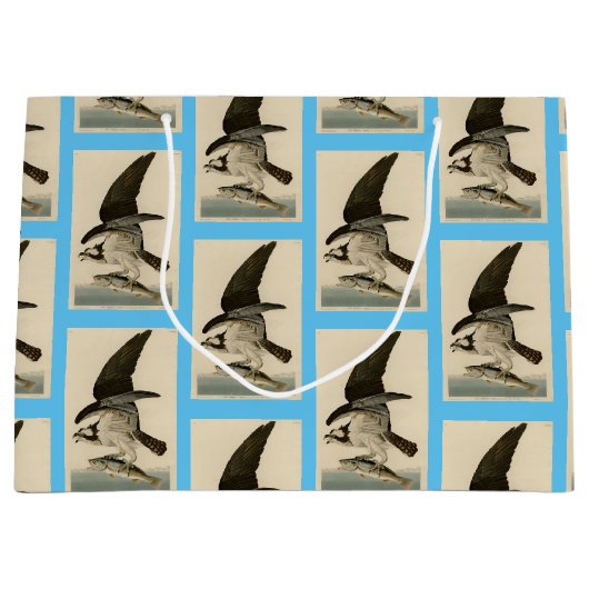 Fish Hawk, Osprey, uit Audubon's Birds of America Groot Cadeauzakje (Voorkant)