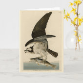 Fish Hawk, Osprey, uit Audubon's Birds of America Kaart (Gele Bloem)
