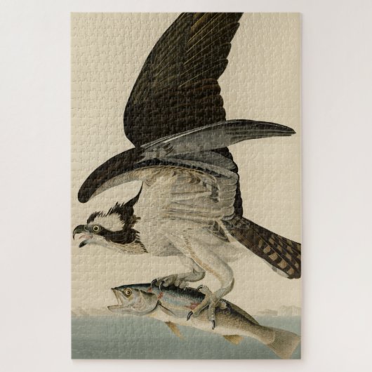 Fish Hawk, Osprey, uit Audubon's Birds of America Legpuzzel (Verticaal)