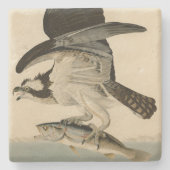 Fish Hawk, Osprey, uit Audubon's Birds of America Stenen Onderzetter (Voorkant)