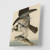 Fish Hawk, Osprey, uit Audubon's Birds of America Vierkante Klok (Hoek)