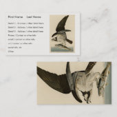 Fish Hawk, Osprey, uit Audubon's Birds of America Visitekaartje (Voorkant / Achterkant)