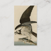 Fish Hawk, Osprey, uit Audubon's Birds of America Visitekaartje (Achterkant)