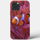 Fish Hoesje-Mate iPhone Case (Achterkant)