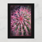 Fish Hook Briefkaart (Voorkant)