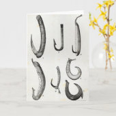 Fish-hooks van Voorhistorisch en Uncivilised Kaart (Gele Bloem)