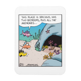 Fish house hunting with all the anemones Magnet  Magneet