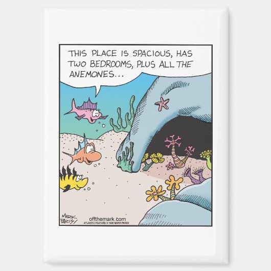 Fish house hunting with plenty Anemones  Magneet (Voorkant)