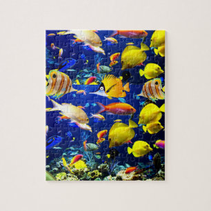 Fish Jigzaag Puzzle Legpuzzel