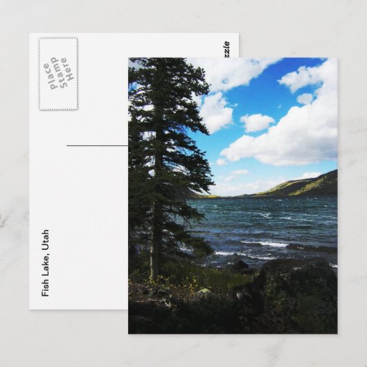 Fish Lake, Utah Briefkaart (Voorkant / Achterkant)