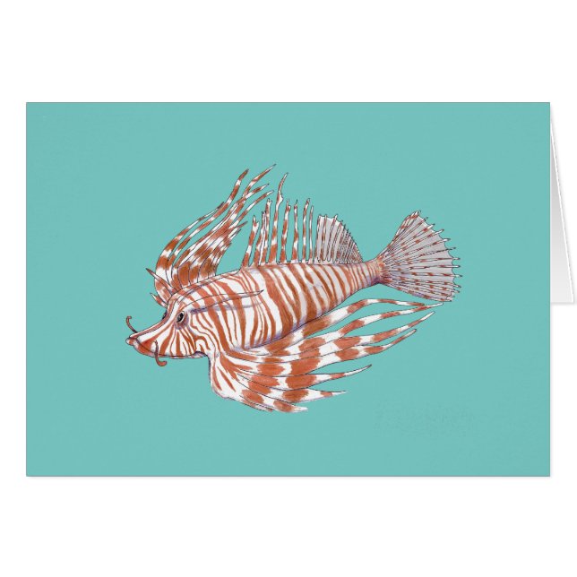 Fish Manchu (Voorkant Horizontaal)