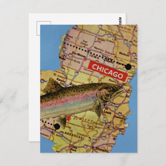 Fish Map Collage Briefkaart (Voorkant / Achterkant)