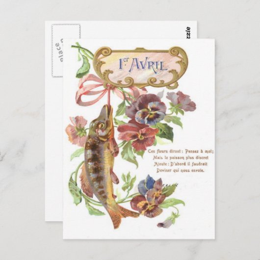 Fish Morning Glory Briefkaart (Voorkant / Achterkant)