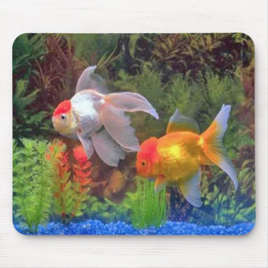 Fish Mousepad Muismat (Voorkant)