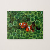 Fish Puzzle Legpuzzel (Horizontaal)