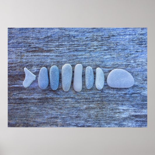 Fish Rock Art Poster (Voorkant)