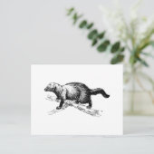 Fisher Briefkaart (Staand voorkant)
