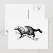 Fisher Briefkaart (Voorkant / Achterkant)
