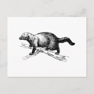 Fisher Briefkaart