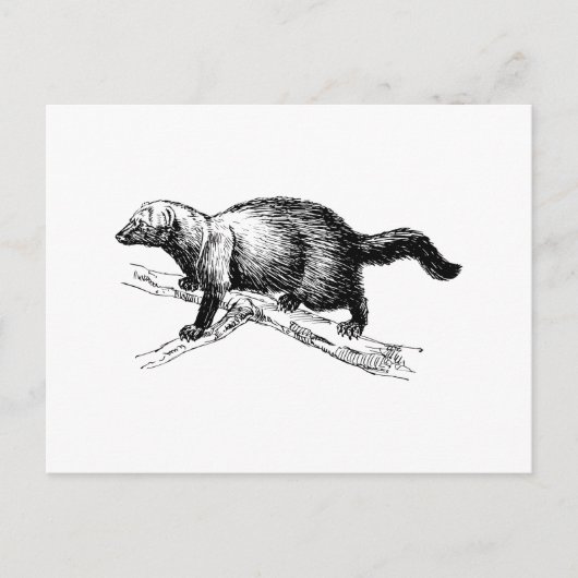 Fisher Briefkaart (Voorkant)