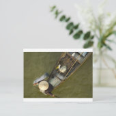 Fisher in Azië van bovenaf Briefkaart (Staand voorkant)