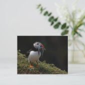 Fisher Puffin Briefkaart (Staand voorkant)