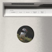 Fisher Puffin Magneet (Insitu (Vaatwasser))