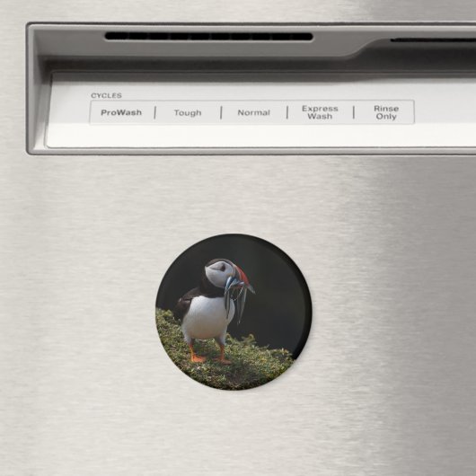 Fisher Puffin Magneet (Insitu (Vaatwasser))