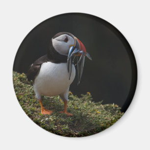 Fisher Puffin Magneet