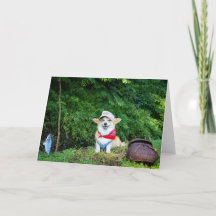 Fisherman Corgi blanco groet