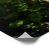 Fisherman on Totem Pole, Alaska Poster (Hoek)