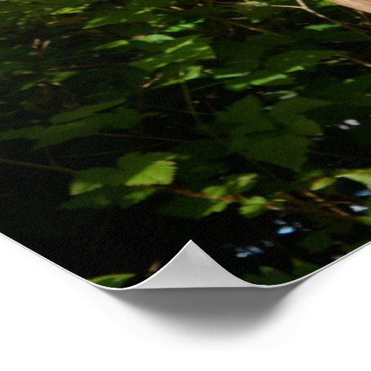 Fisherman on Totem Pole, Alaska Poster (Hoek)