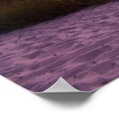 Fisherman's Island State Park, Michigan Poster (Hoek)