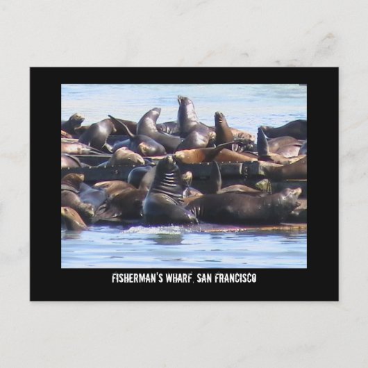 Fisherman's Wharf Briefkaart (Voorkant)