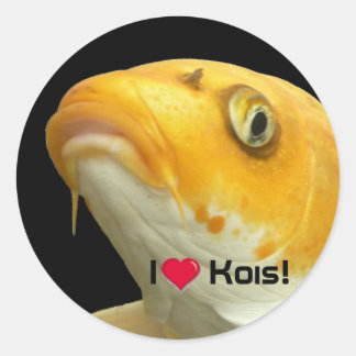 Fishies - Koi no.5 - I love Kois! Sticker