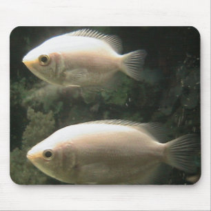 Fishies mousepad muismat