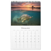 Fishing Calendar 2026 / Fish Photo Calendar Kalender (Feb 2026)