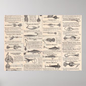 Fishing Lures Advertising Fisherman Art Poster (Voorkant)