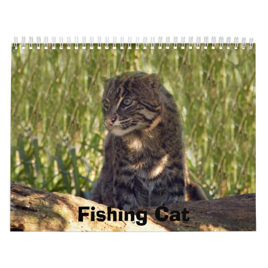 FishingCat008, Gevist kat Kalender (Hoes)